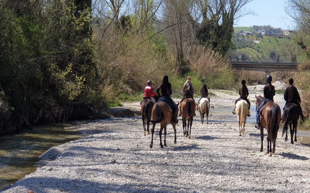 River Ranch Horse Camp